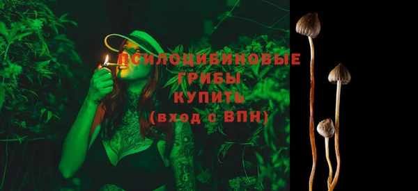 дмт Пестово