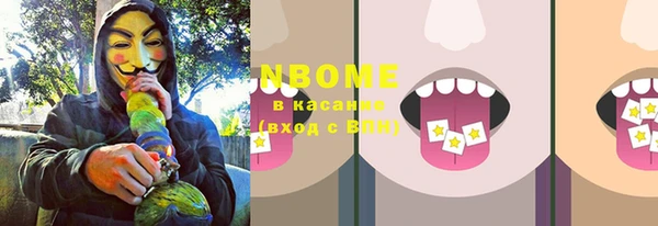 дмт Пестово