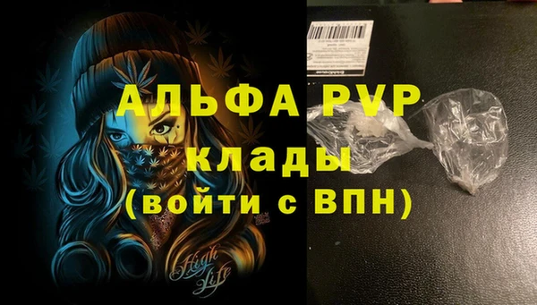 дмт Пестово