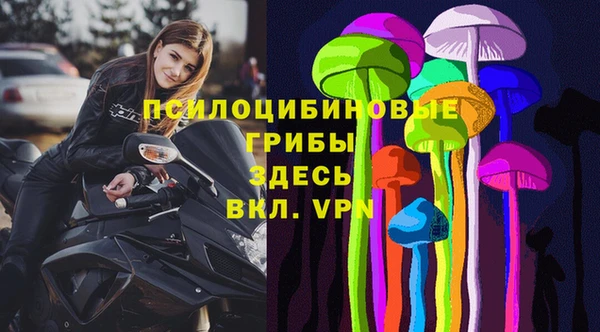 дмт Пестово