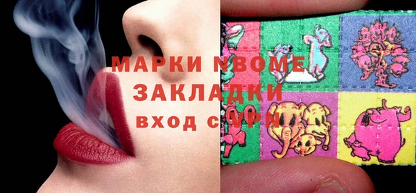 дмт Пестово